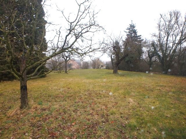 Titelbild des Objekts