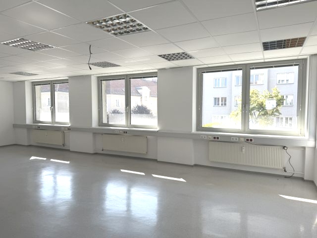 Titelbild des Objekts