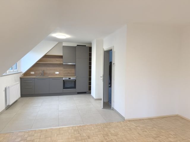 Titelbild des Objekts