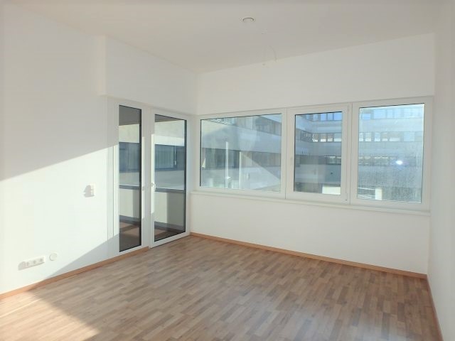 Titelbild des Objekts