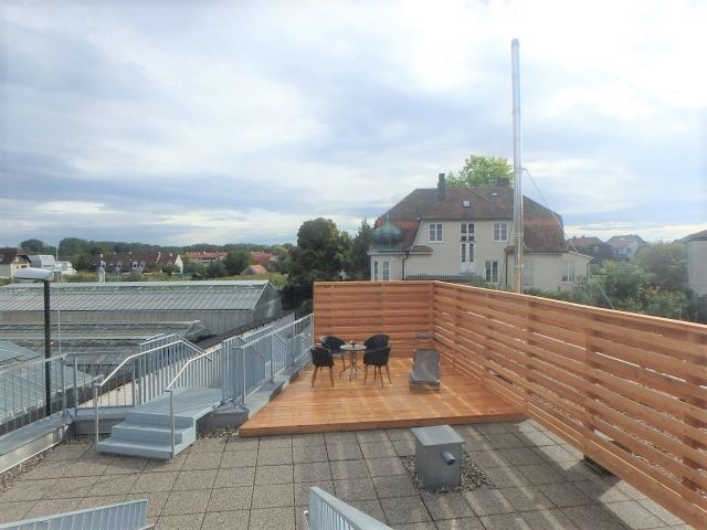 Titelbild des Objekts