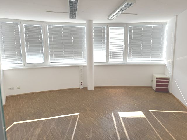 Titelbild des Objekts